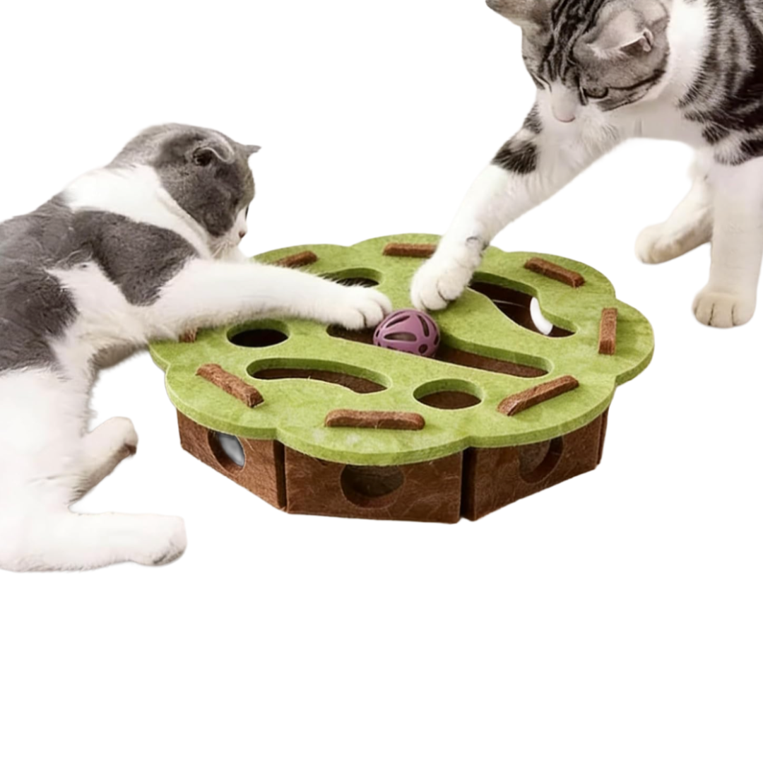 Interaktives Katzenspielzeug